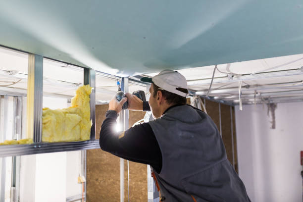 Best Energy Efficiency Insulation in Pecan Grove, TX