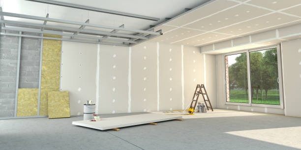 Best Insulation Maintenance and Repair in Pecan Grove, TX