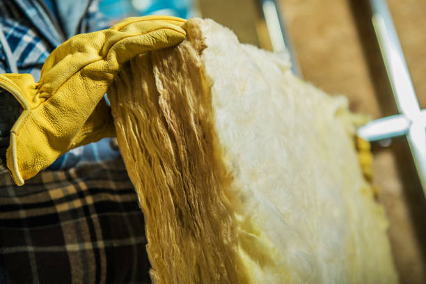 Types of Insulation We Offer in Pecan Grove, TX