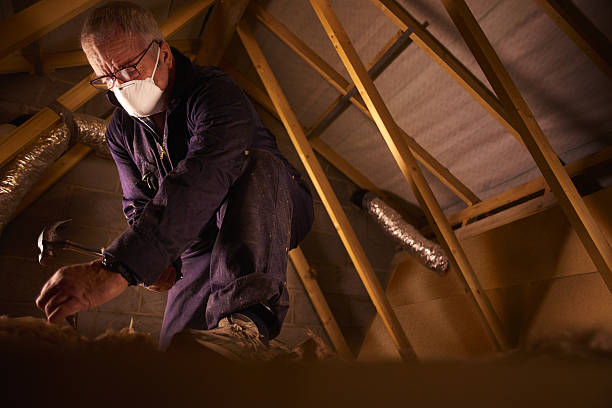 Best DIY Insulation Kits and Guidance in Pecan Grove, TX
